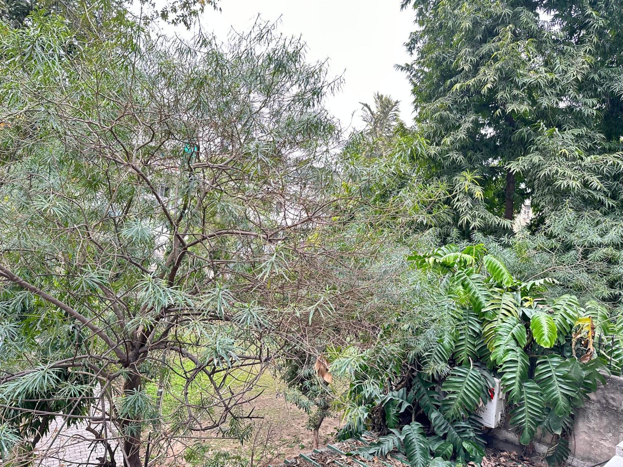Grove Residency Hauz Khas New Delhi Couple Friendly Nova Deli Exterior foto
